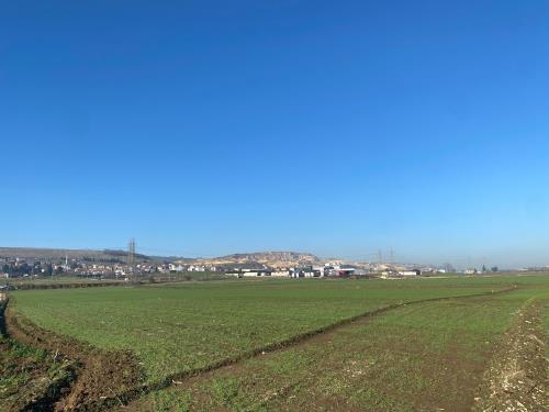 Gümrüğe 1 Km Mesafede Konut+Ticari İmarlı Arsa